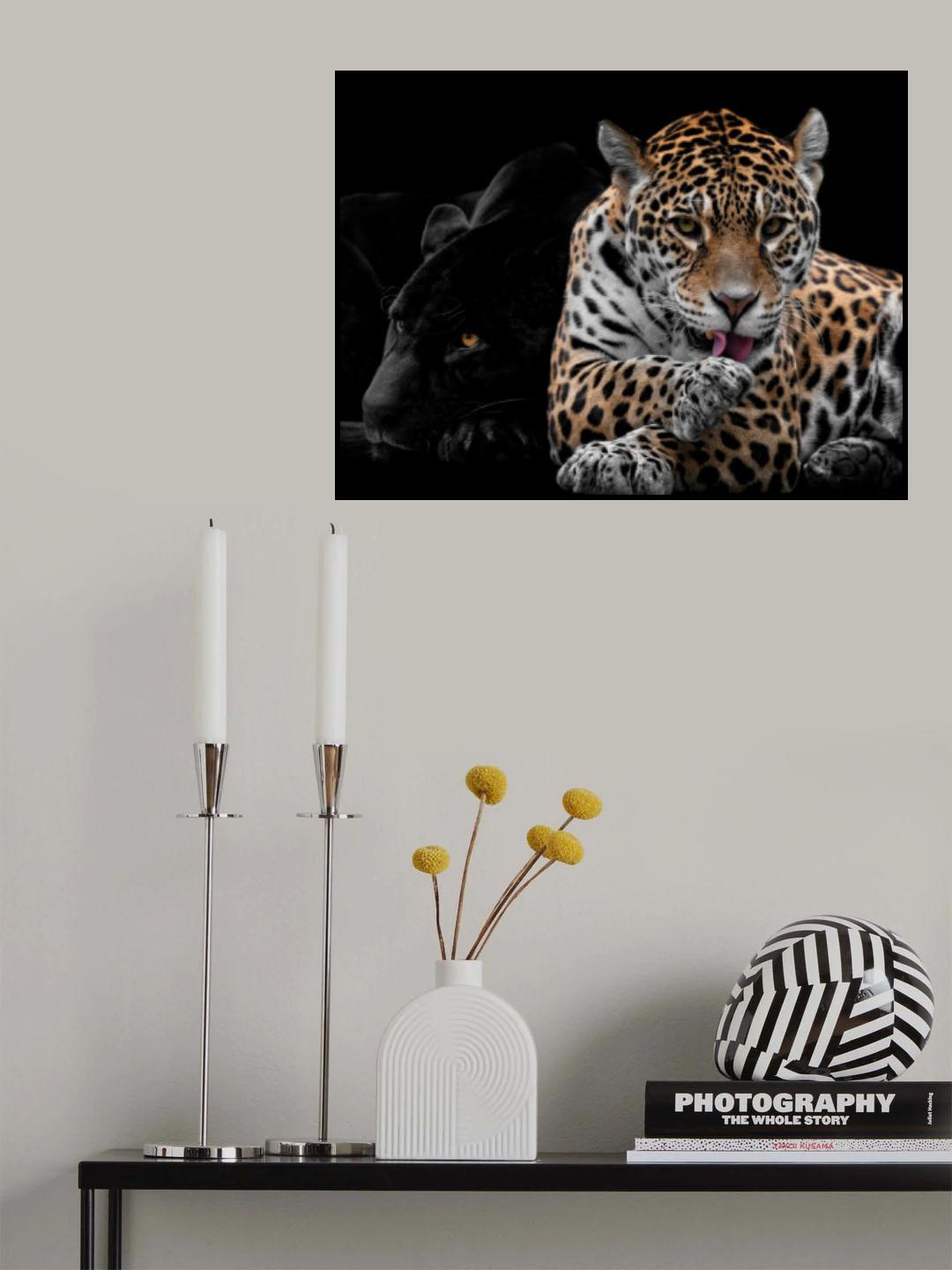 Mr and Mrs Jaguar - Panthera Onca Poster och Canvastavla