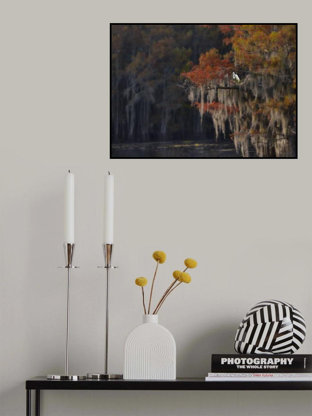 Caddo Lake and Bird Poster och Canvastavla