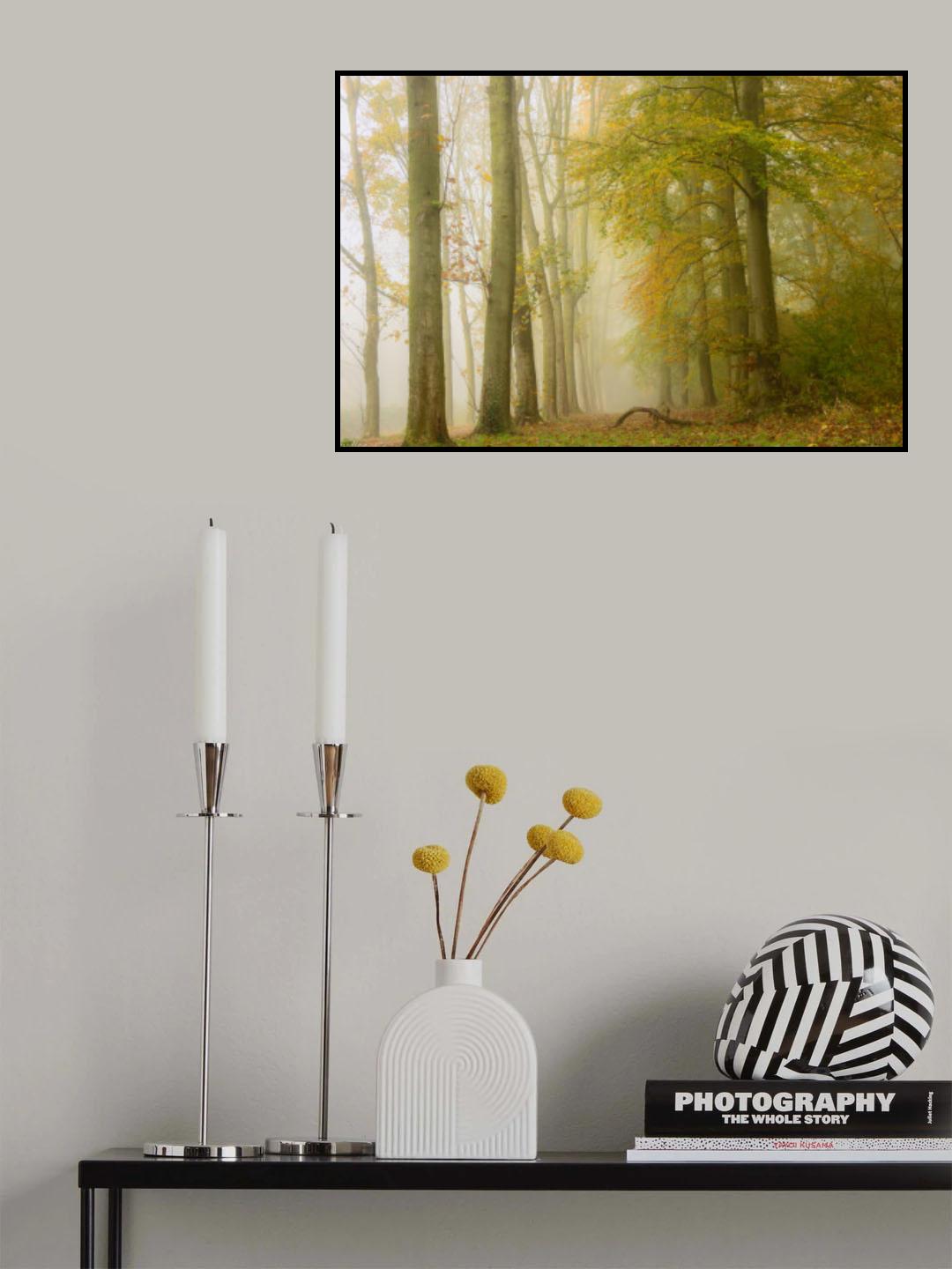 broken branch Poster och Canvastavla