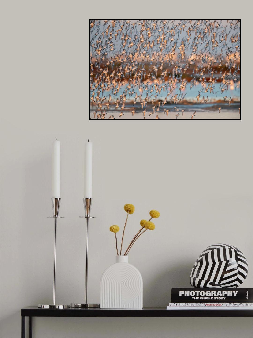Calidris Poster och Canvastavla