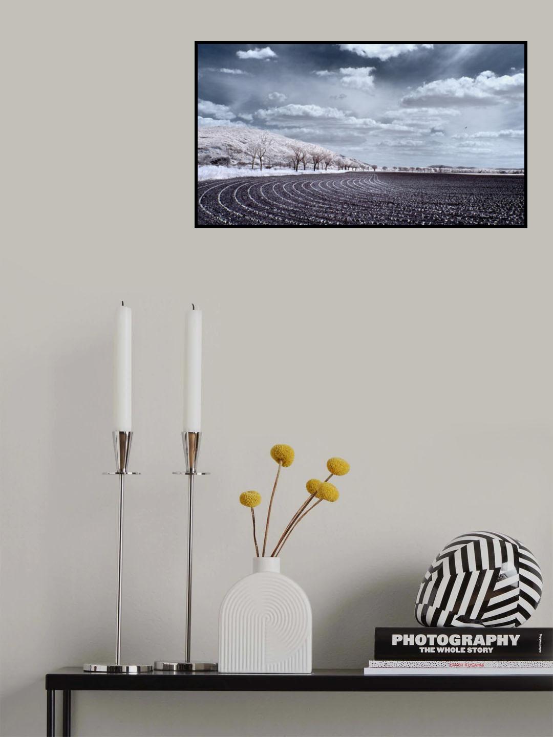 Bioalthletic stadium Poster och Canvastavla