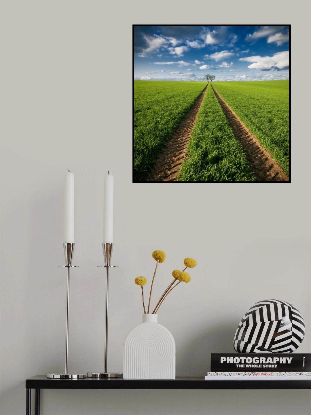 Trace & Trees Poster och Canvastavla