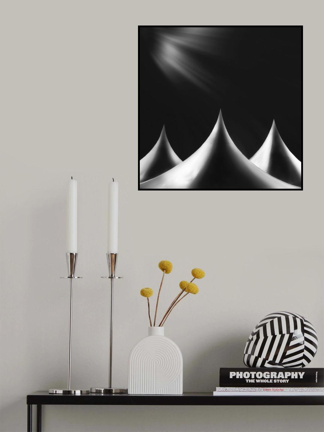 annua Poster och Canvastavla