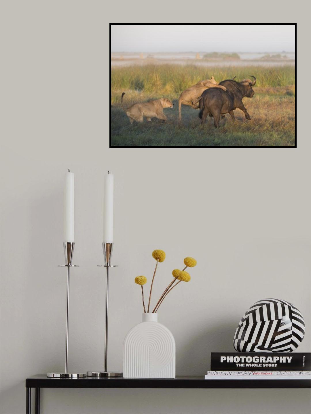 Ambush Poster och Canvastavla