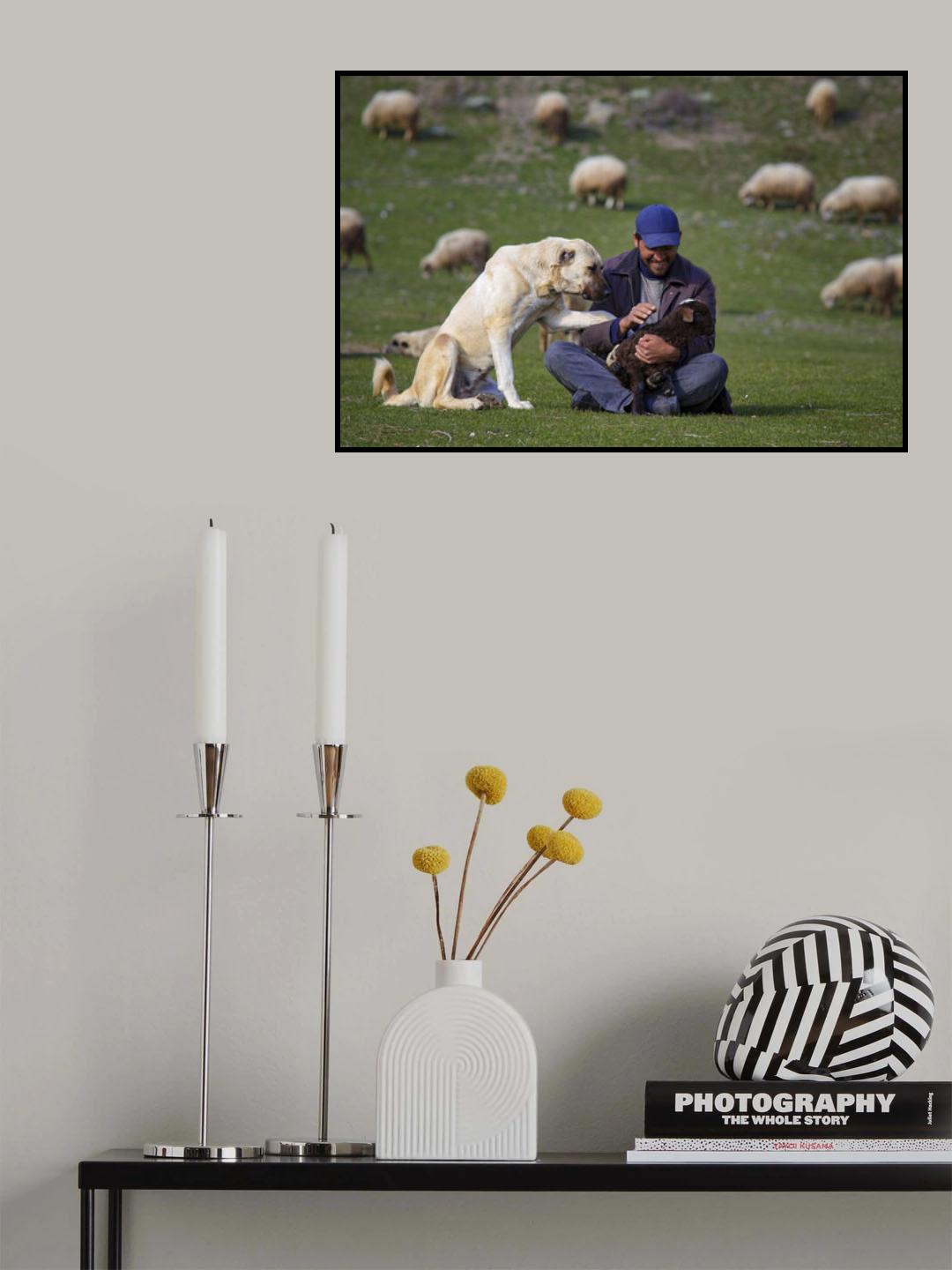 animal love Poster och Canvastavla