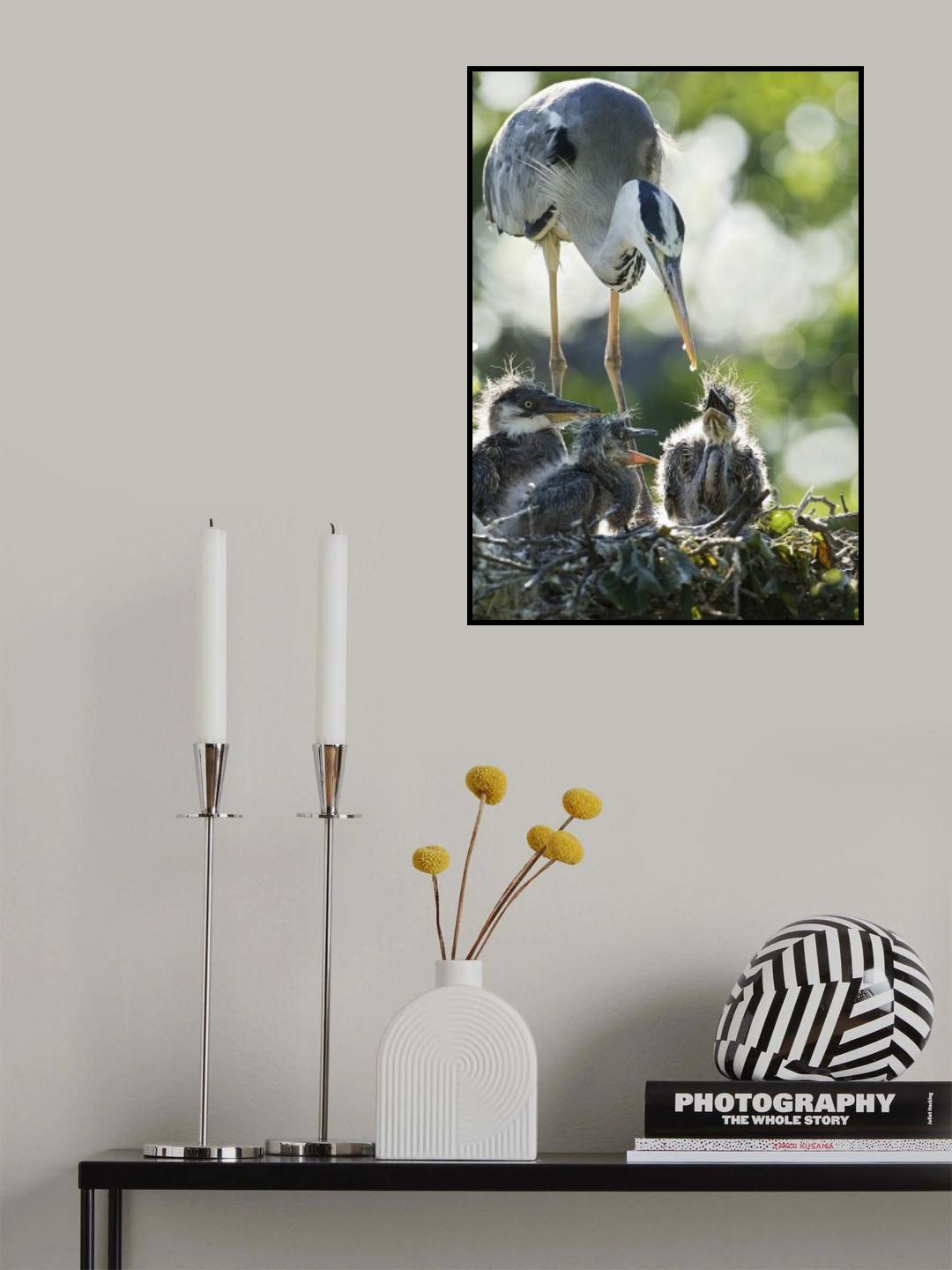 Last drop Poster och Canvastavla