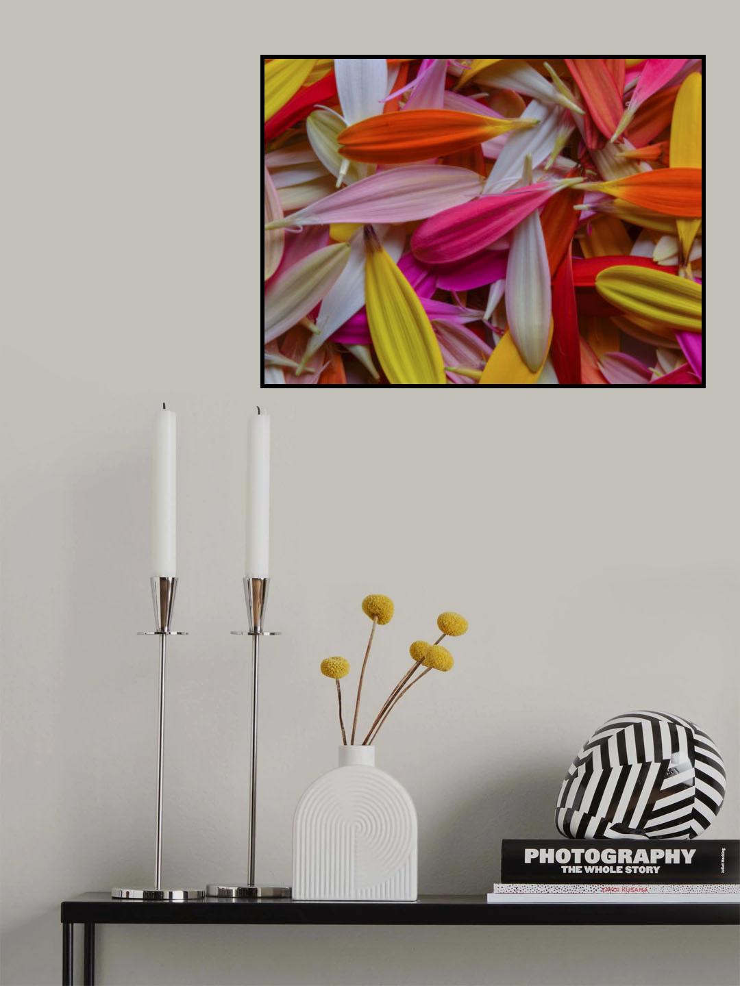 colorful flower petals Poster och Canvastavla