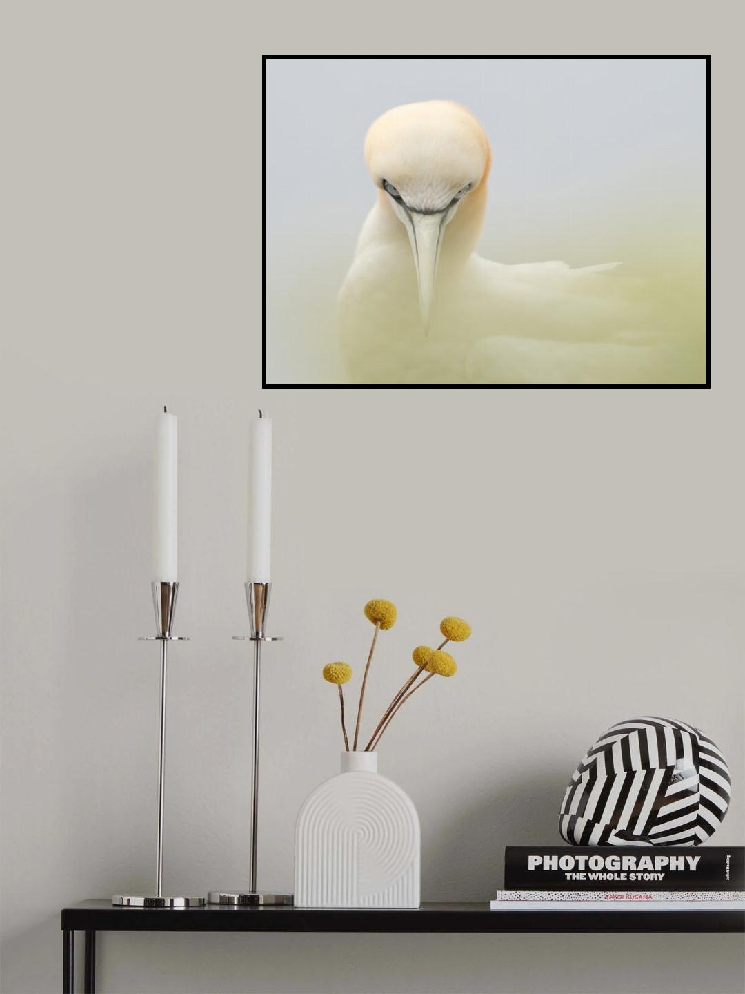 Looking at me Poster och Canvastavla