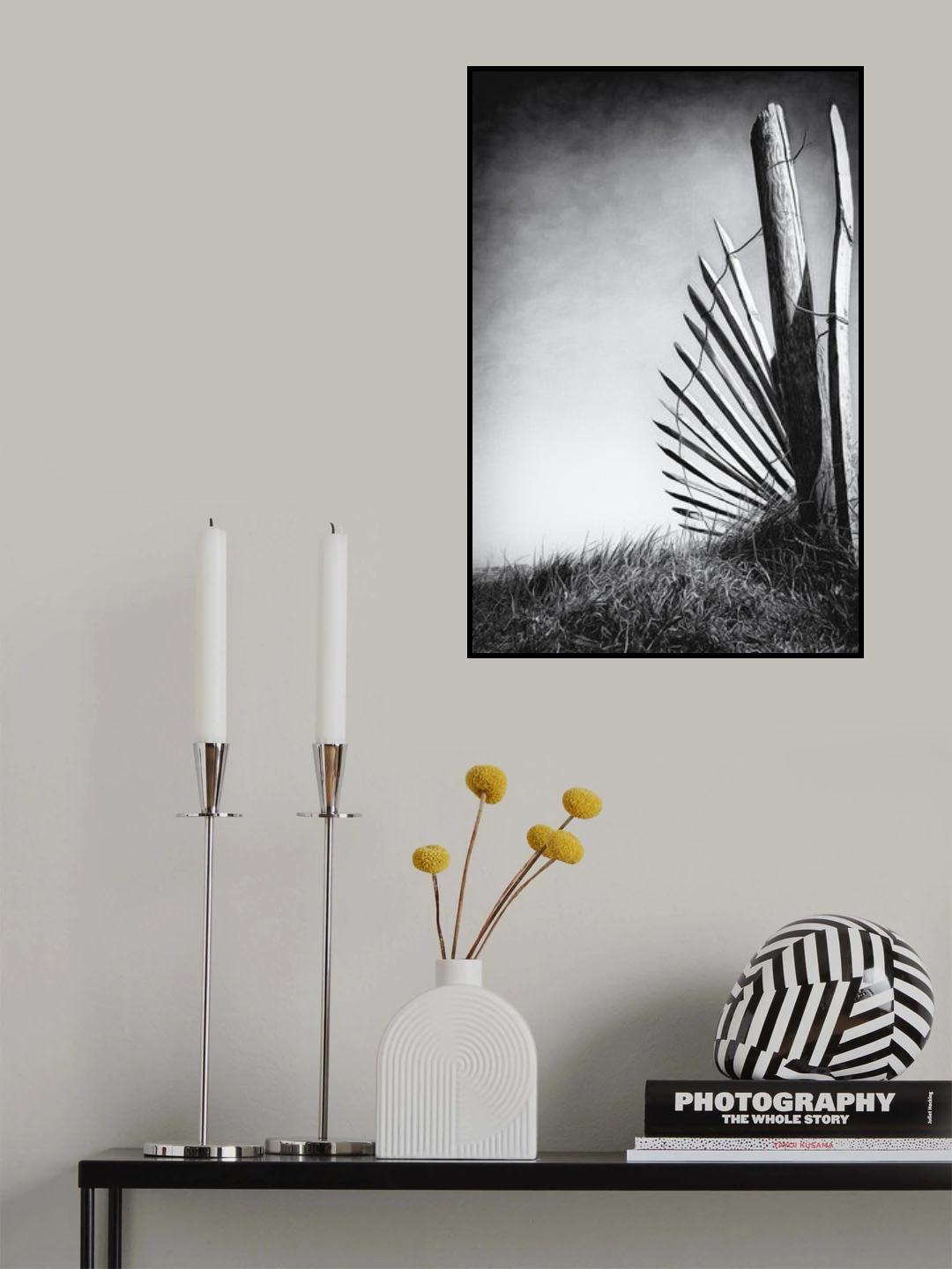 No (of)fence in the dunes Poster och Canvastavla