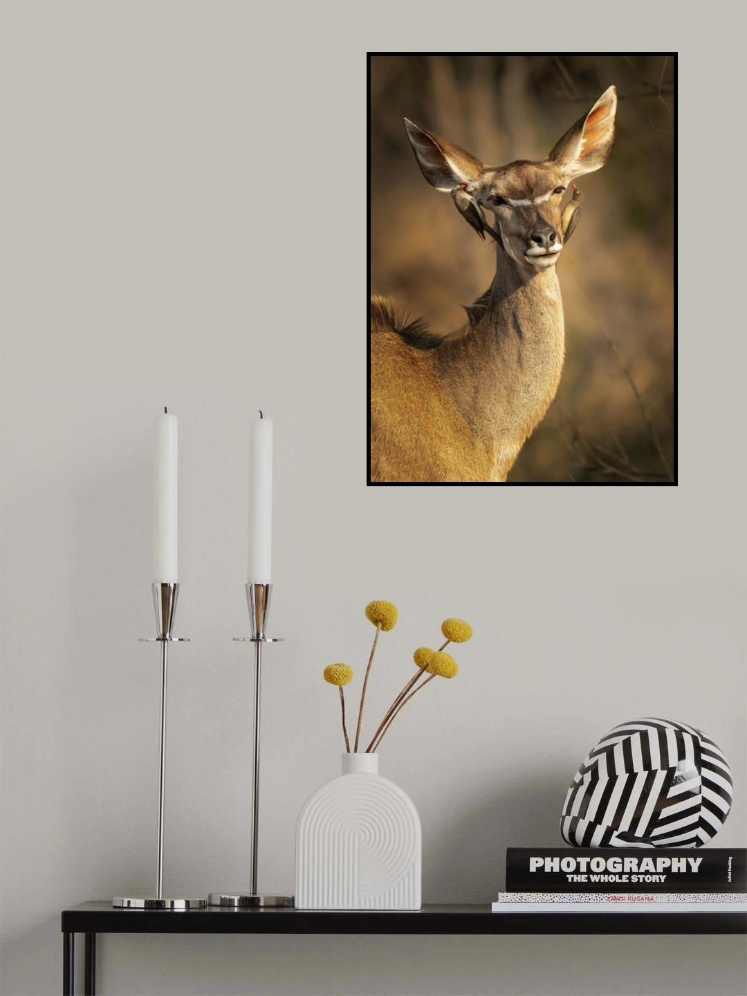 Deer and little bird Poster och Canvastavla