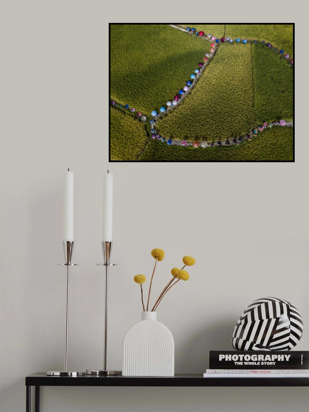 Rice umbrella Poster och Canvastavla