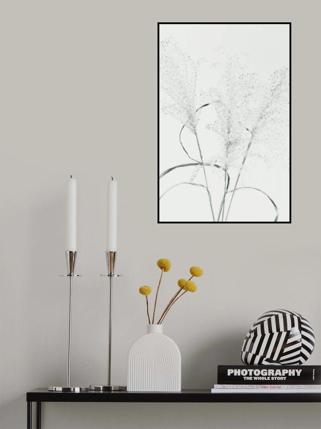 Dried Grass_green Poster och Canvastavla