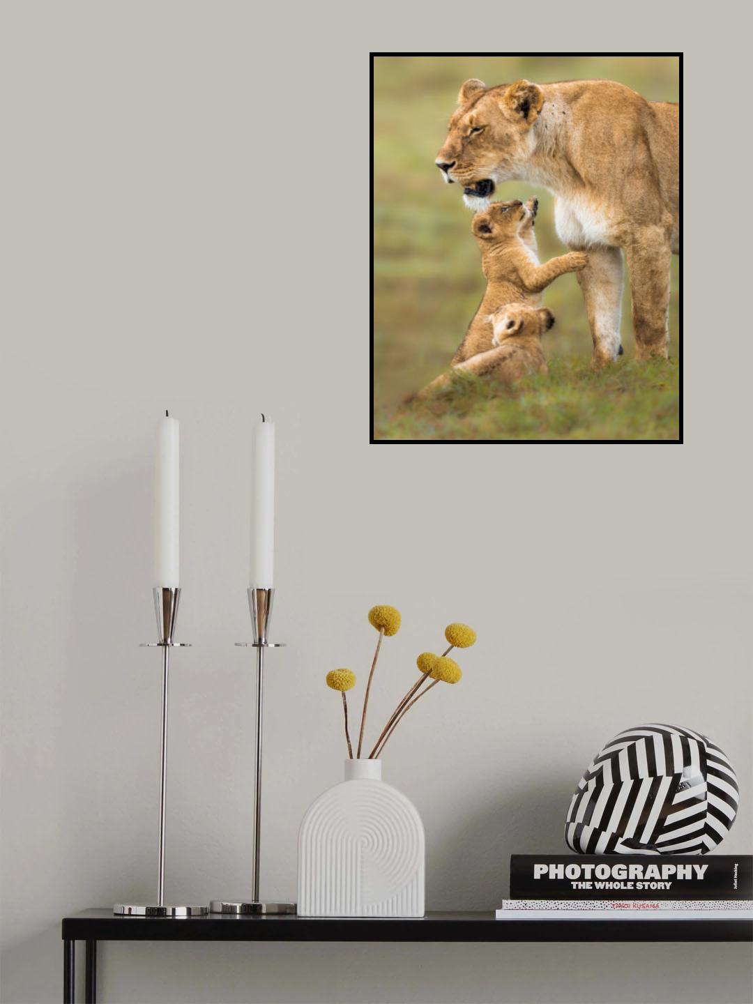 Love at first sight Poster och Canvastavla