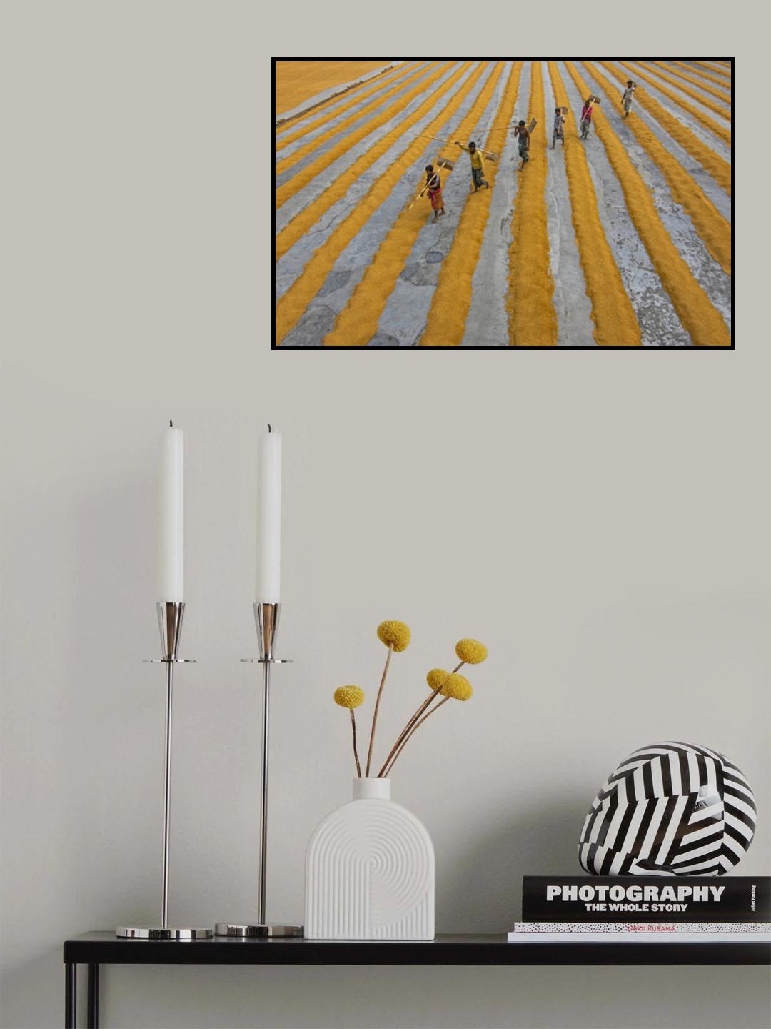 Paddy workers Poster och Canvastavla