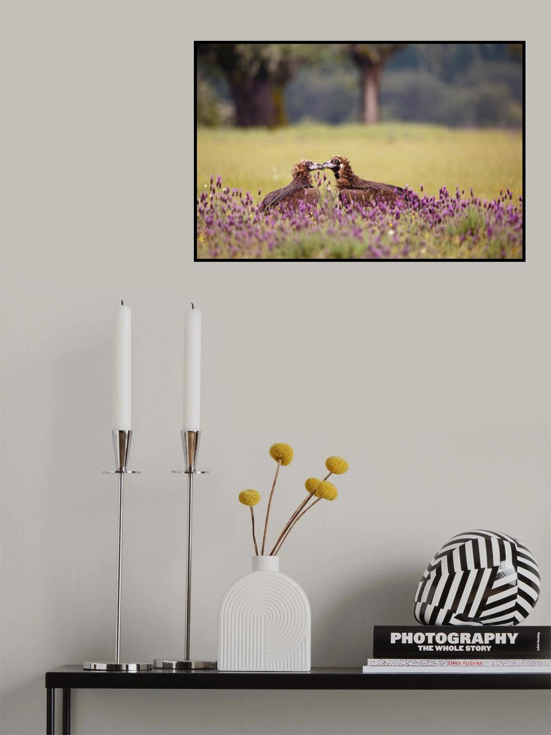 Spring kiss Poster och Canvastavla