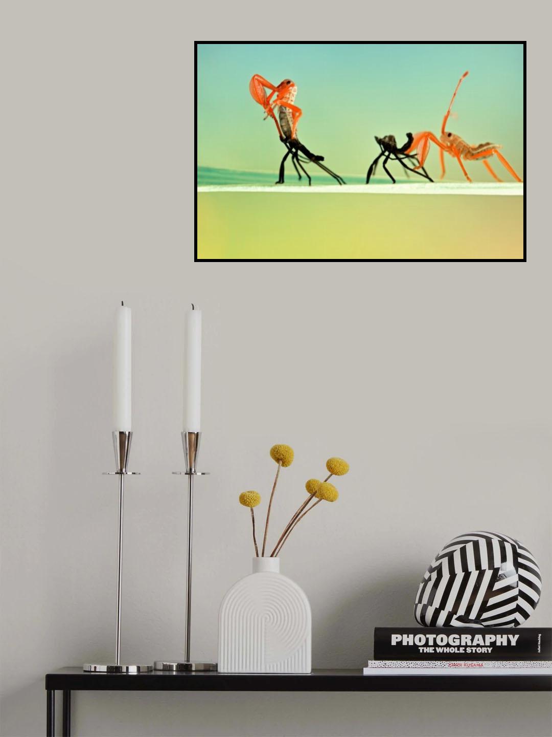Re-BORN Poster och Canvastavla