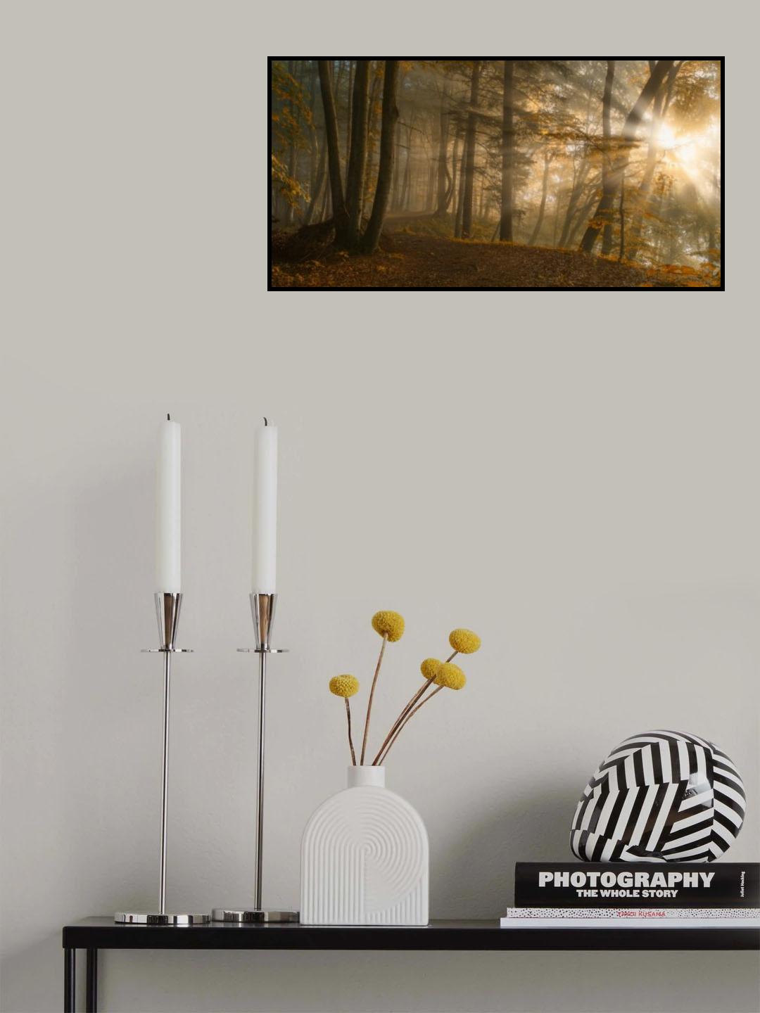 Forest Light Poster och Canvastavla