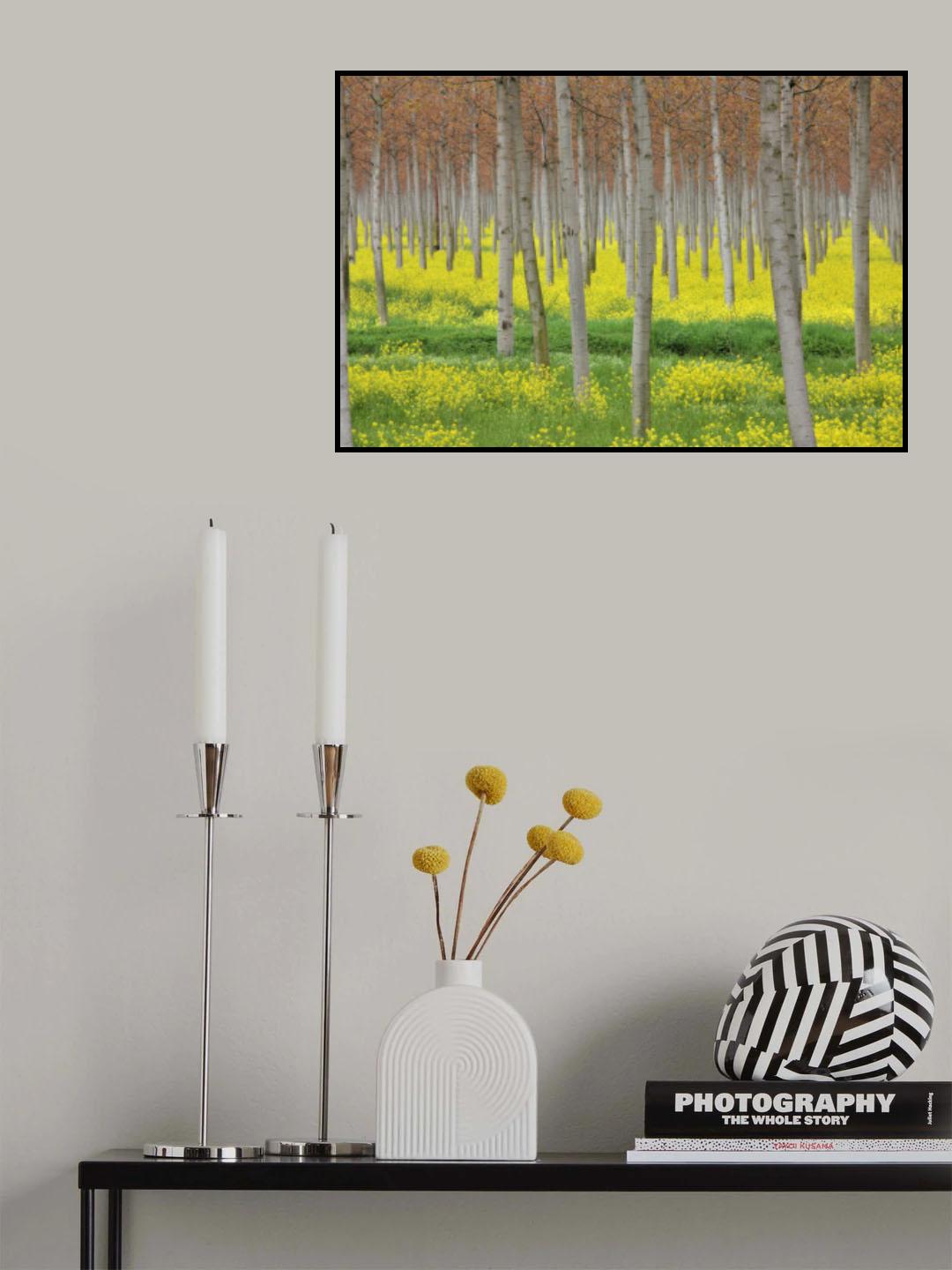 Poster och Canvastavla