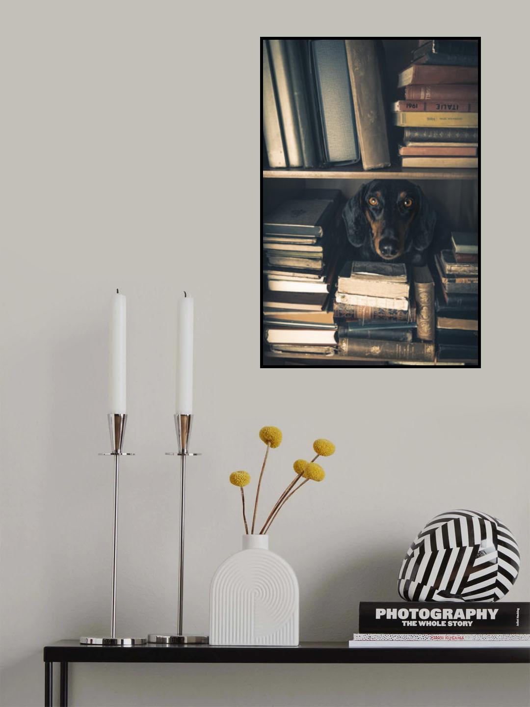 Der kleine Bibliothekar - Little Librarian Poster och Canvastavla