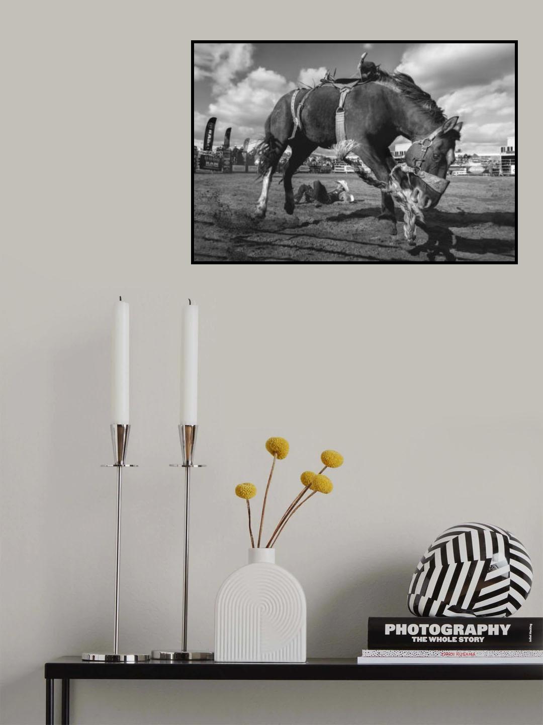Rodeo Poster och Canvastavla