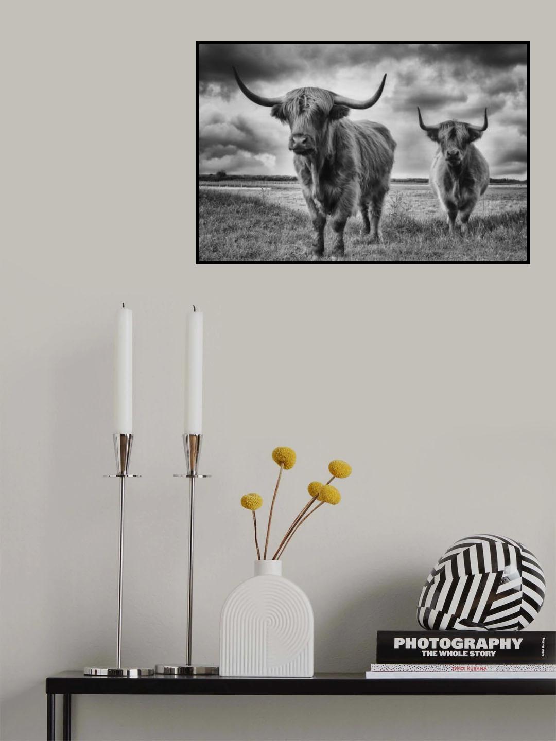 Highlands Poster och Canvastavla