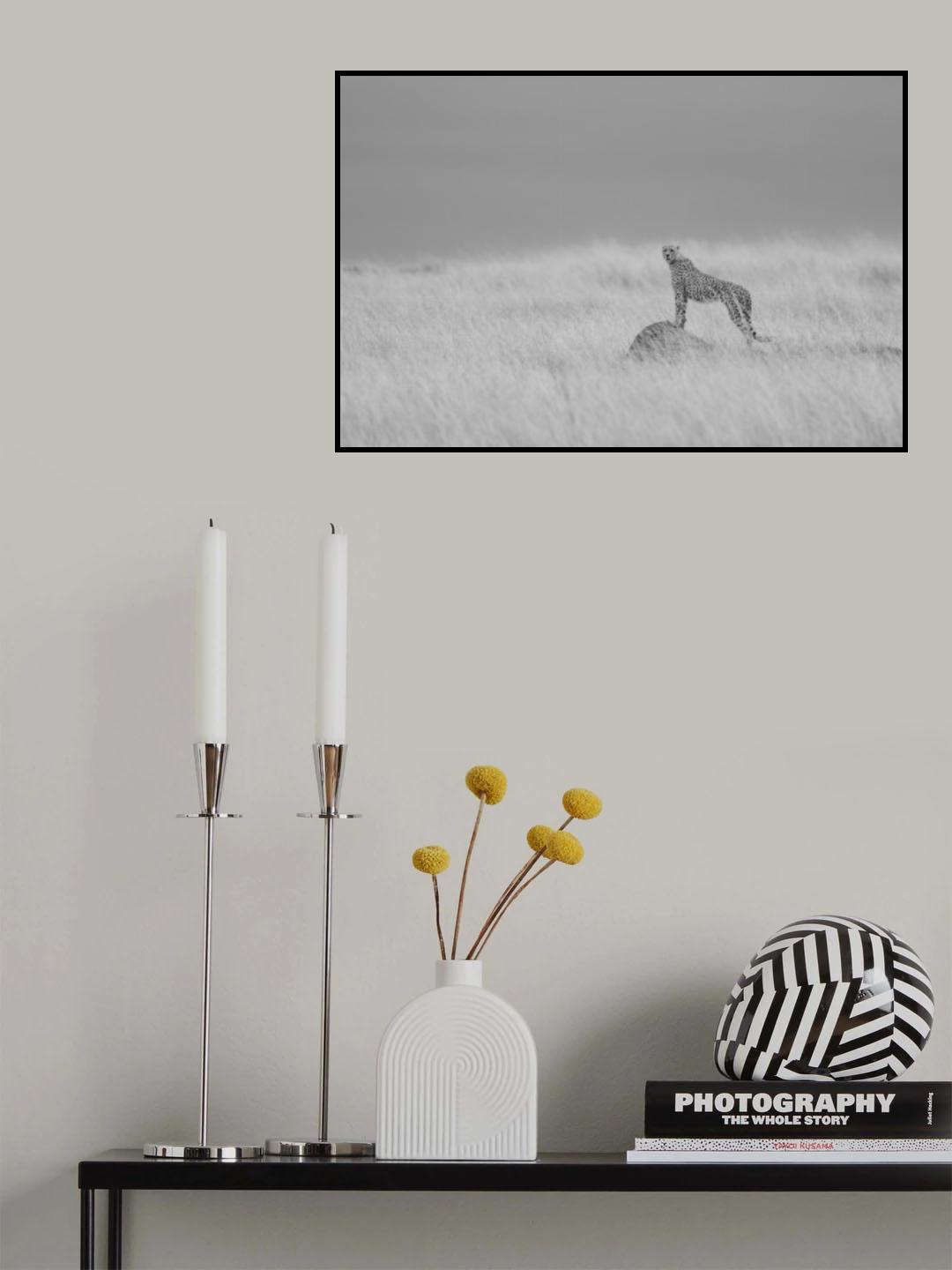 Poster och Canvastavla