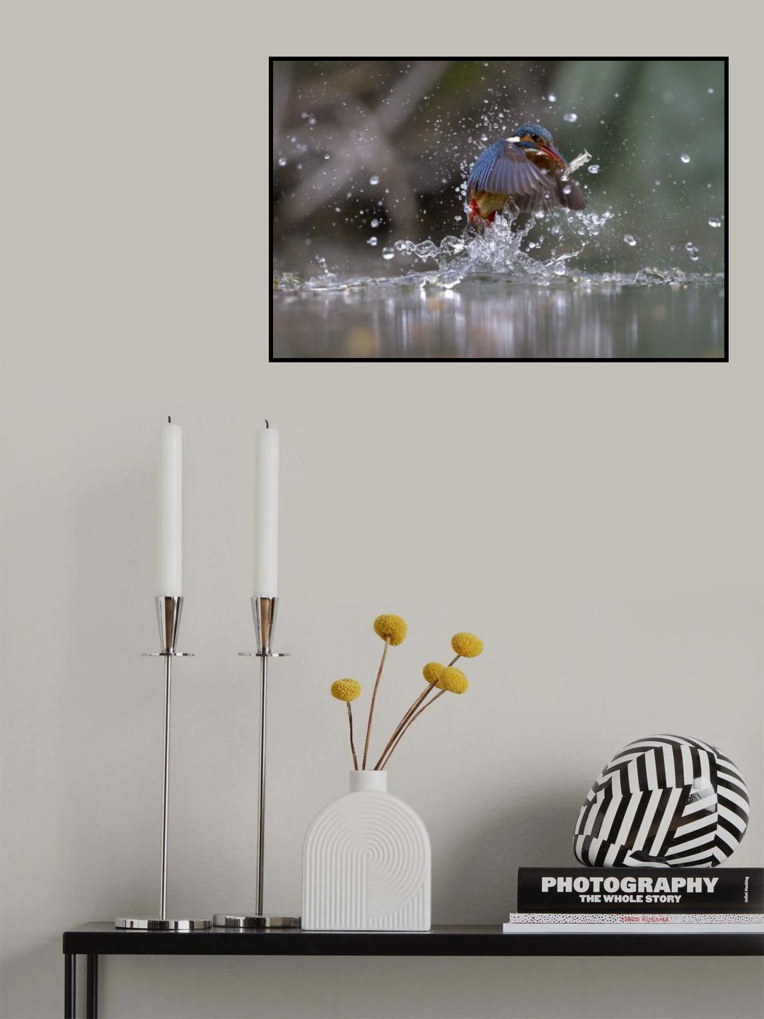 The phantom water Poster och Canvastavla