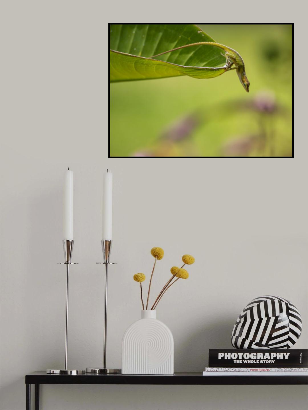 Jumping Poster och Canvastavla