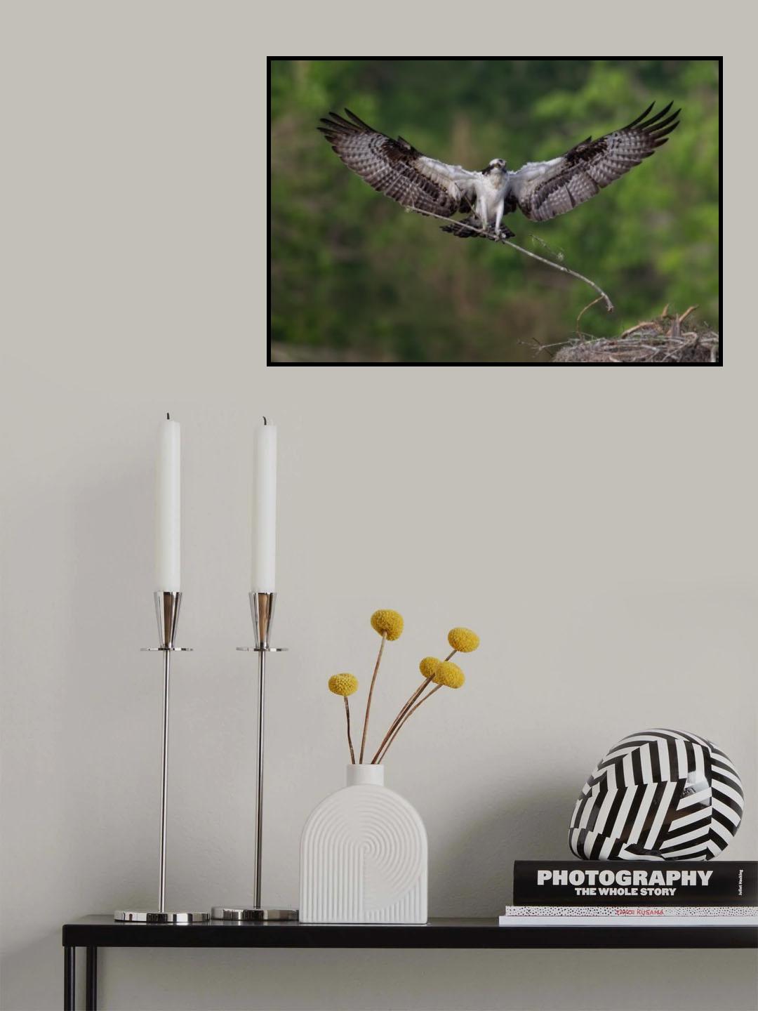 Nesting Time !!! Poster och Canvastavla