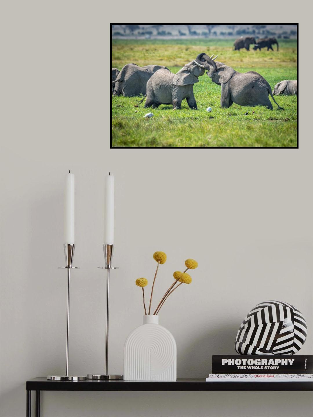 The Gordian Knot Poster och Canvastavla