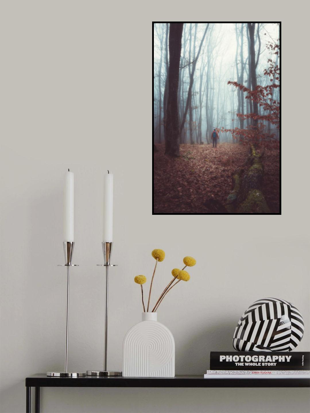 A foggy autumn morning walk through the woods forest Poster och Canvastavla
