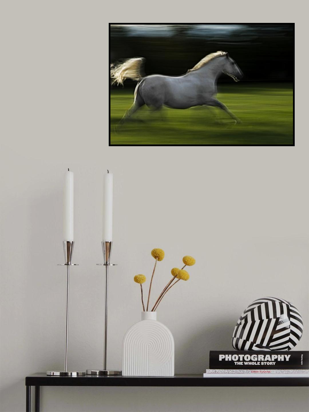 Winged horse Poster och Canvastavla