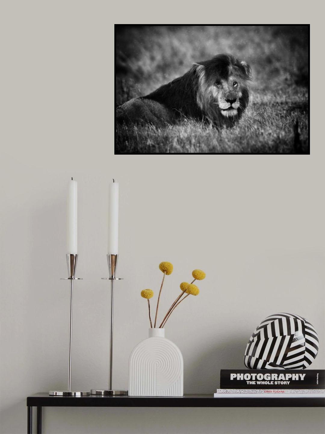 Rainy Poster och Canvastavla