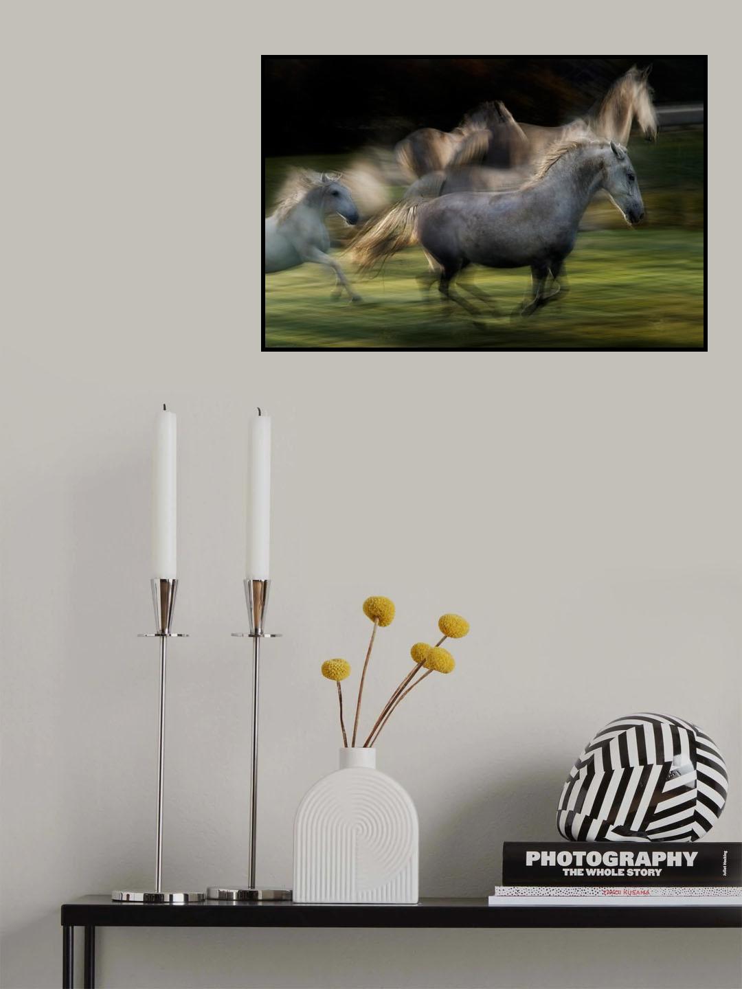 In akcion Poster och Canvastavla