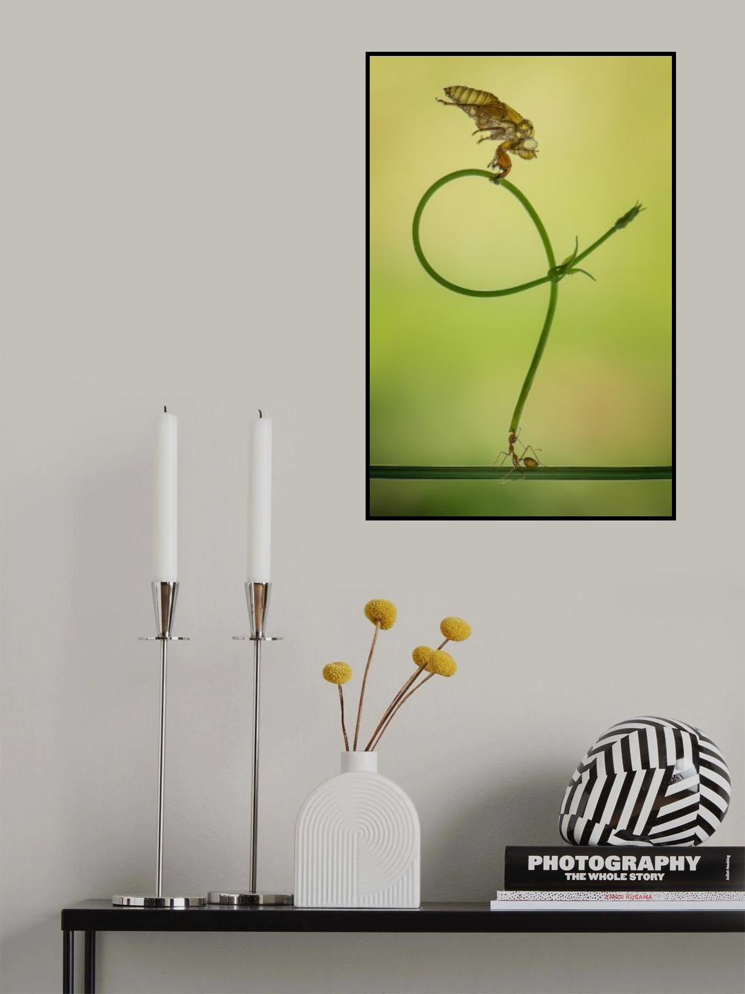 am i strong? Poster och Canvastavla