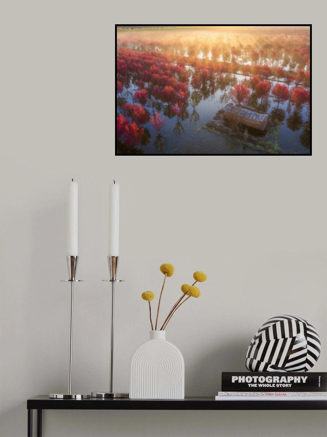 晨色 Poster och Canvastavla