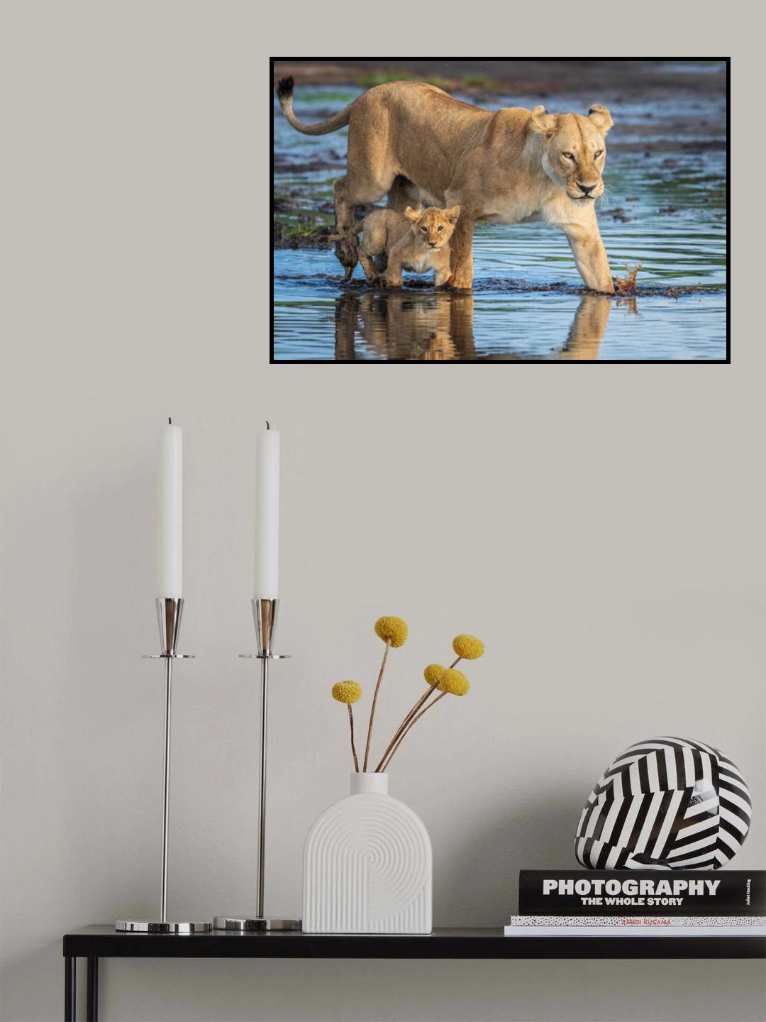 The River Crossing Poster och Canvastavla