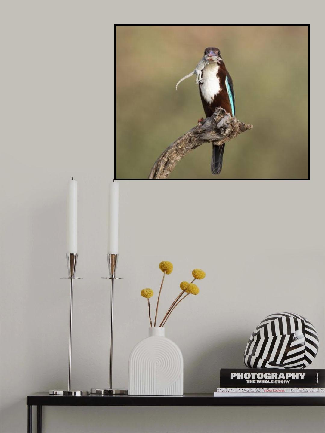 catch Poster och Canvastavla