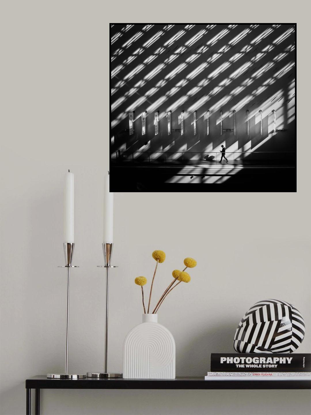 Shadow patterns Poster och Canvastavla