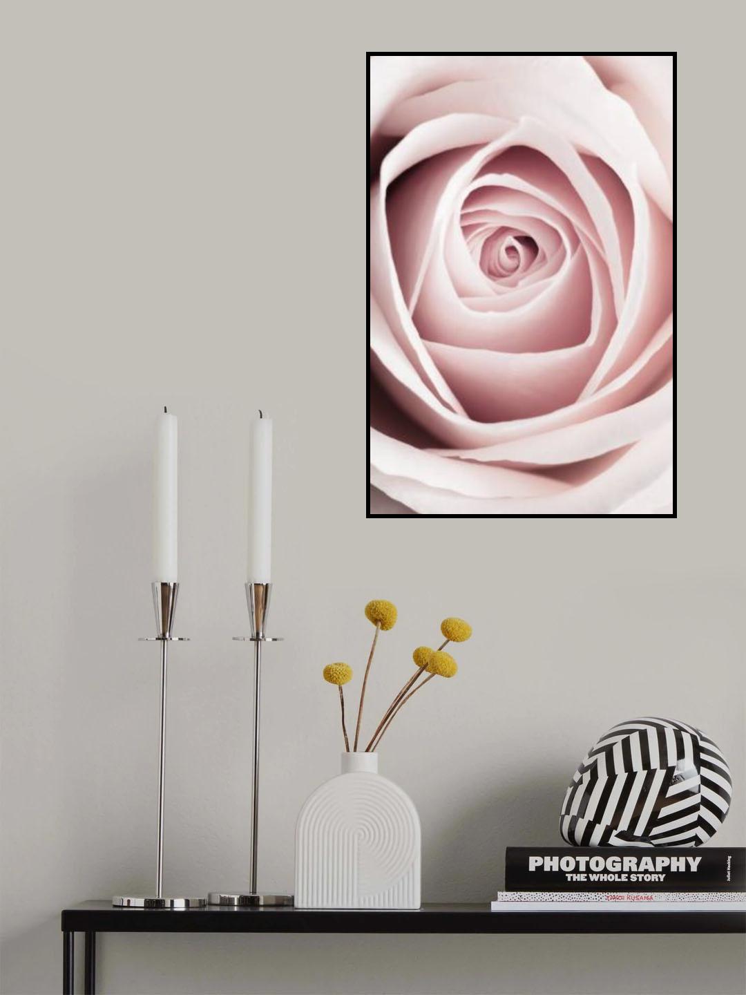 Pink Rose No 1 Poster och Canvastavla