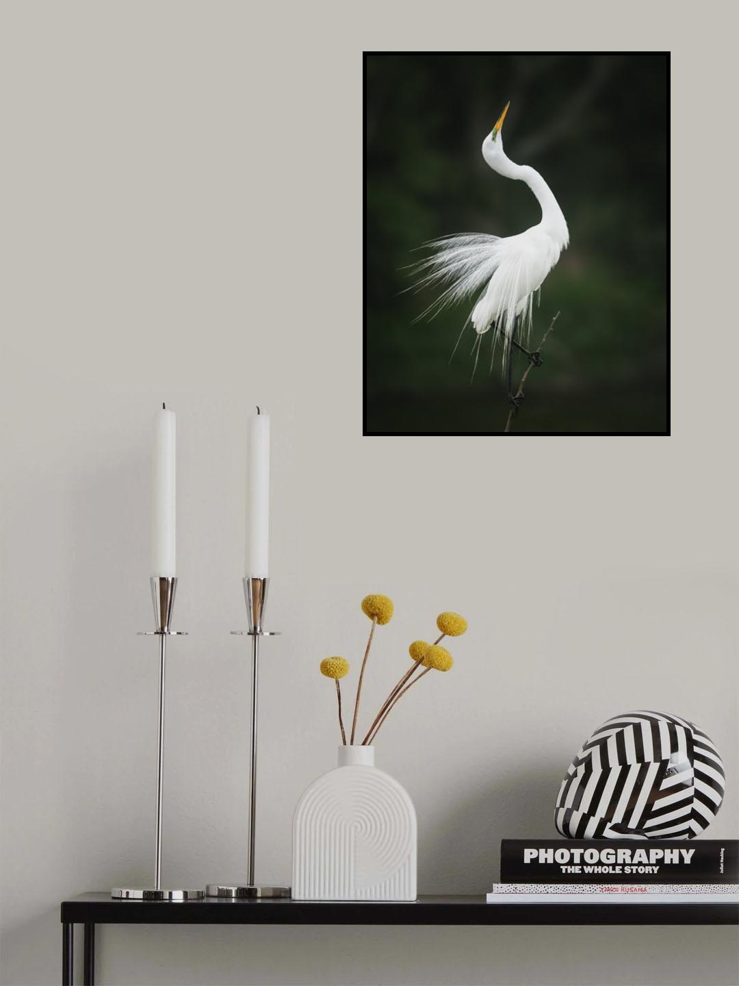 Singing High Notes Poster och Canvastavla