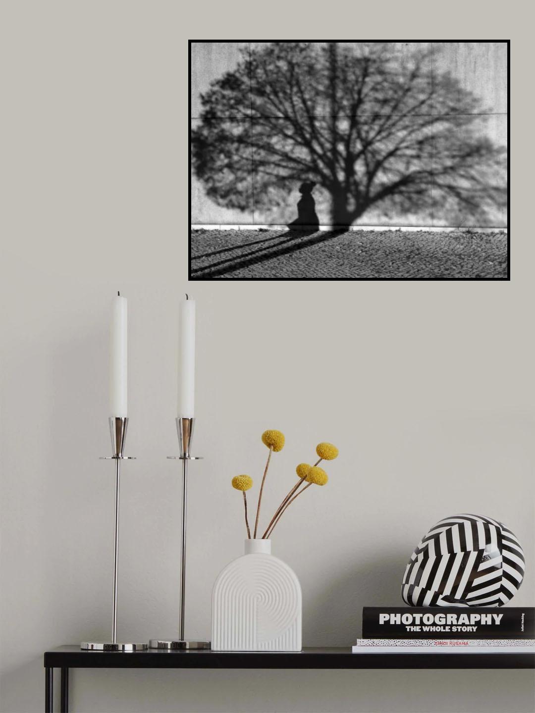 The shadow of a woman in the shadow of a treetop. Poster och Canvastavla