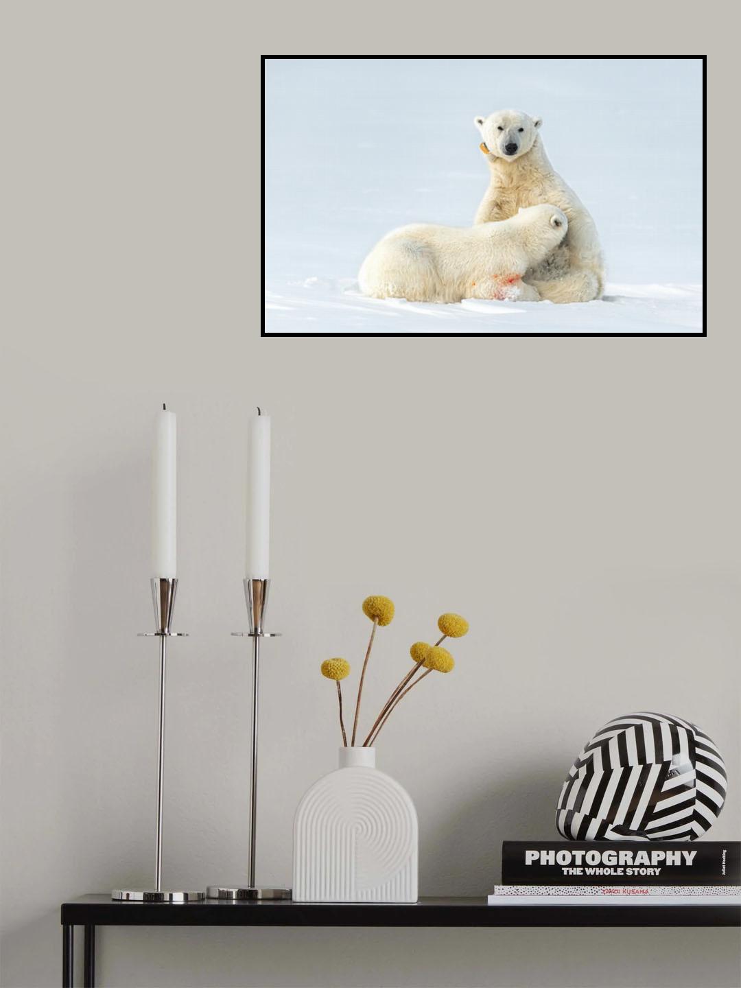 Milk time on ice Poster och Canvastavla