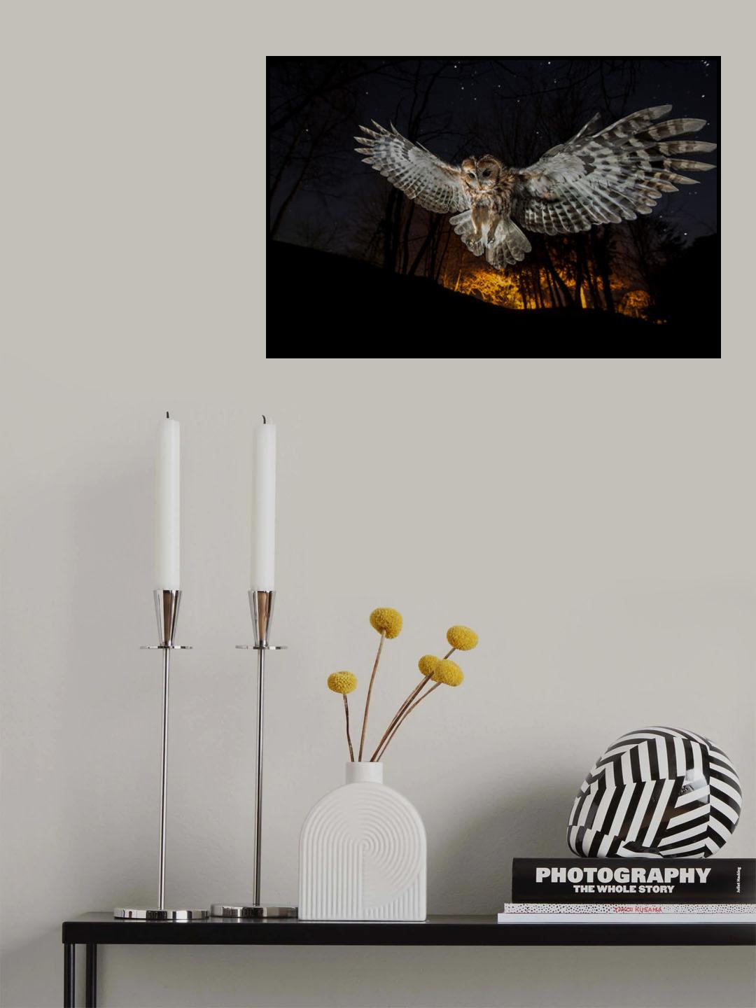 Tawny owl and the false fire Poster och Canvastavla