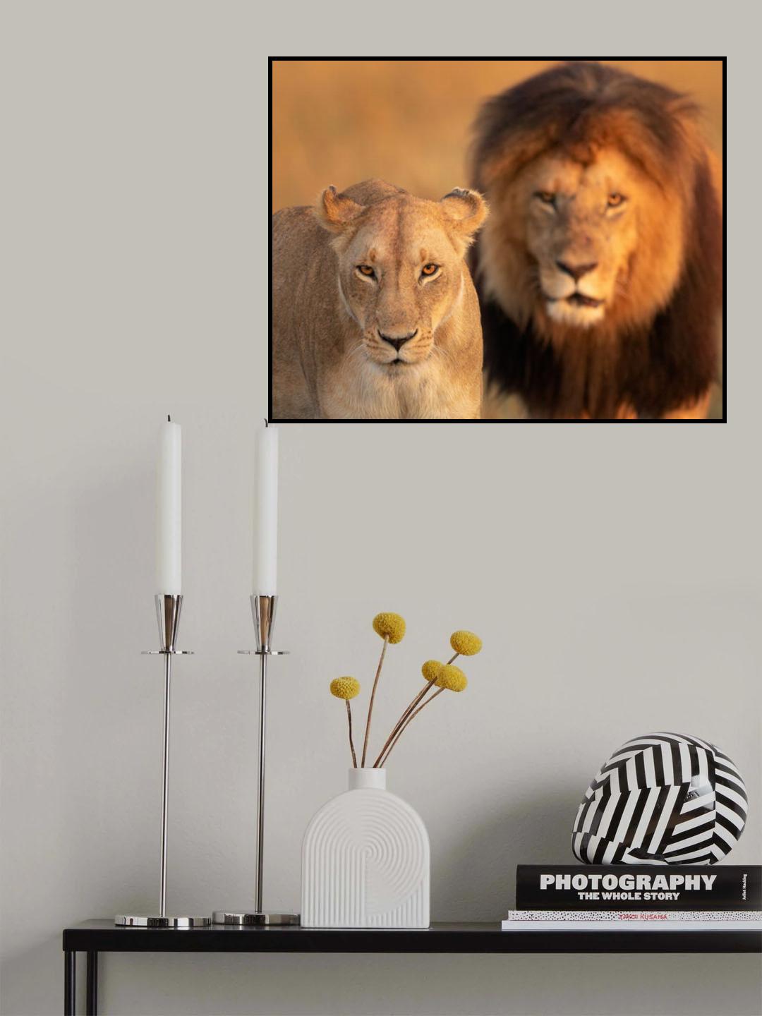 The sovereigns of the plains Poster och Canvastavla