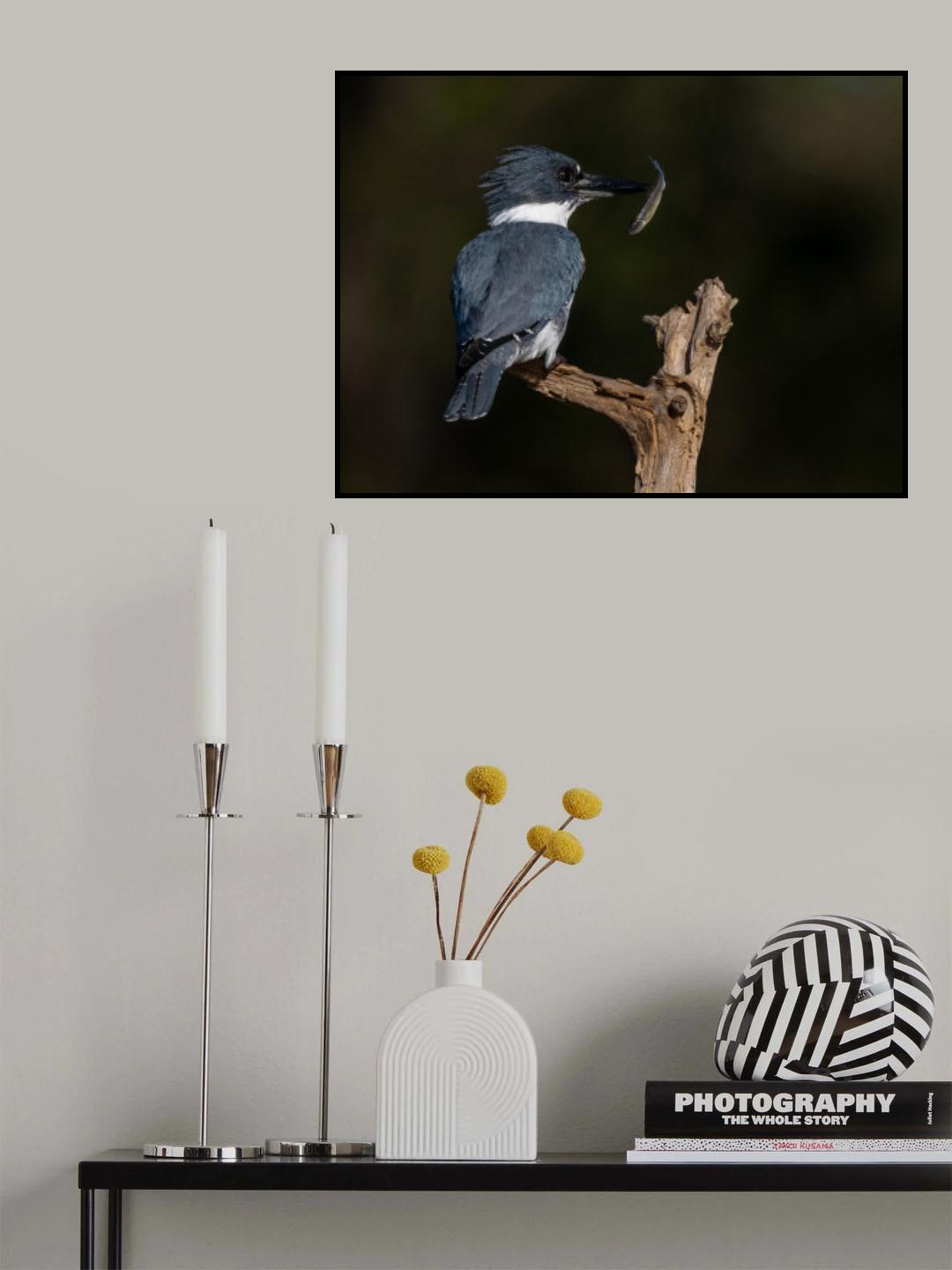Poster och Canvastavla