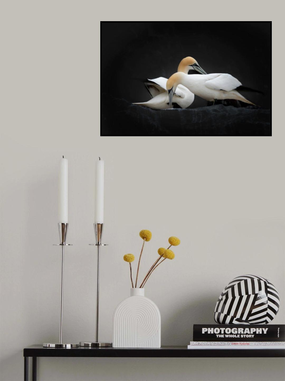 Tenderness Poster och Canvastavla