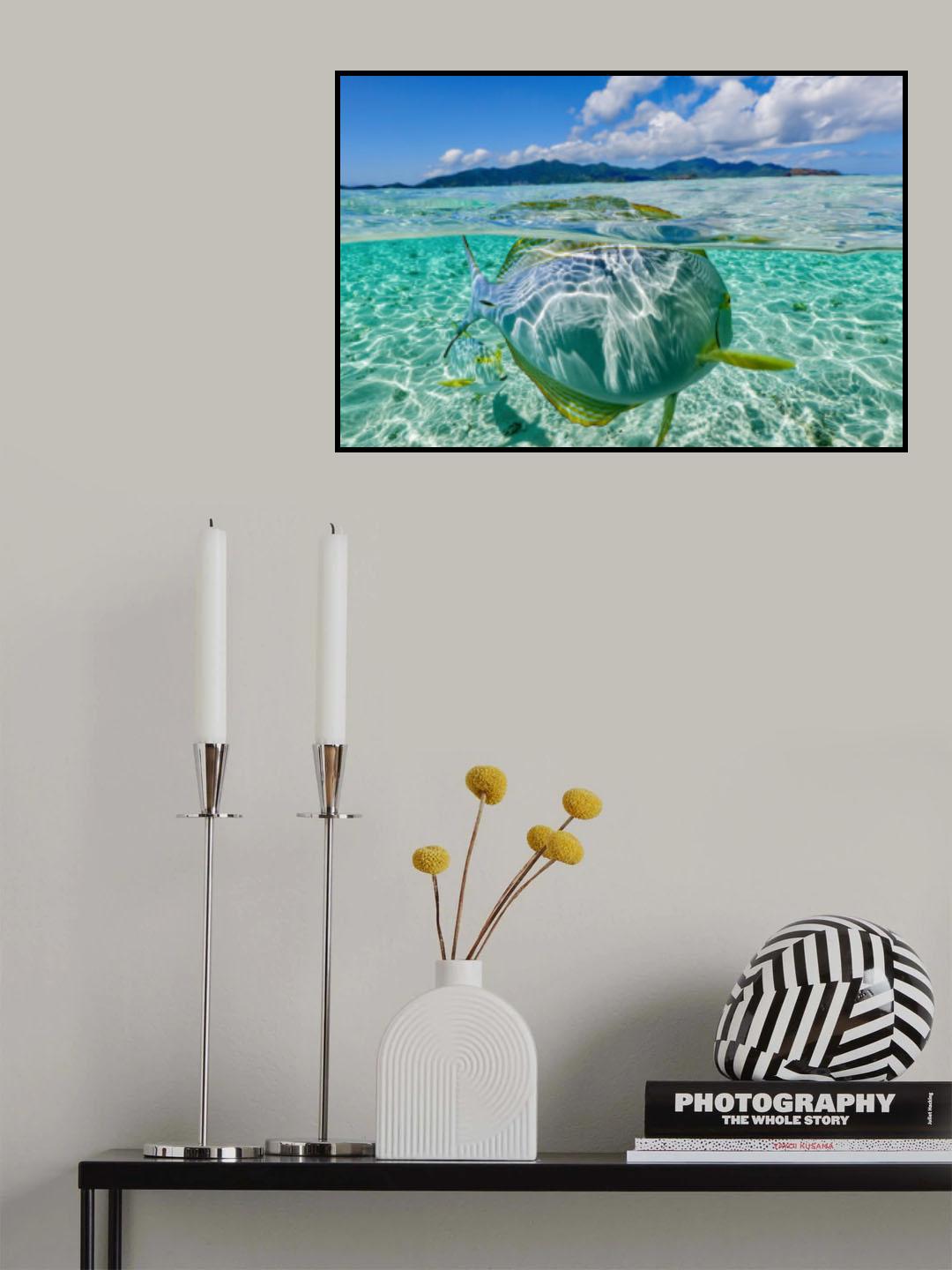 Swimming pool Poster och Canvastavla