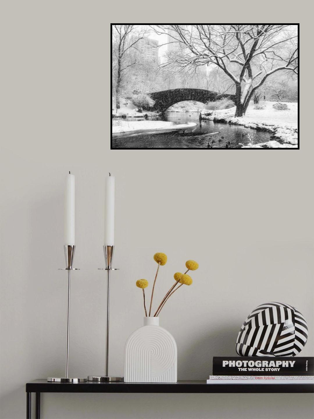 central park snow Poster och Canvastavla