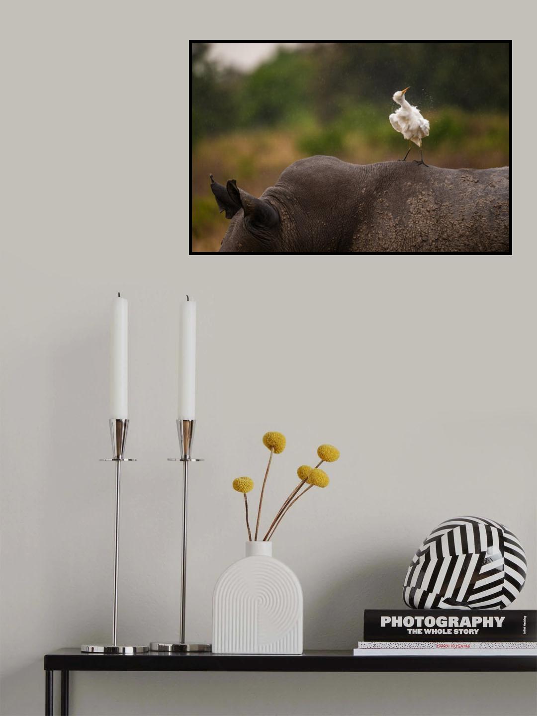 Companions Poster och Canvastavla